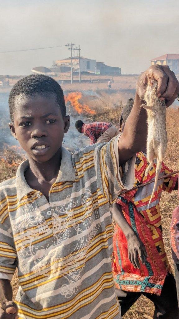 A boy showing rodent they killed