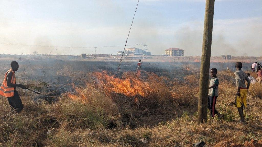 A bush being burnt by electrical cables