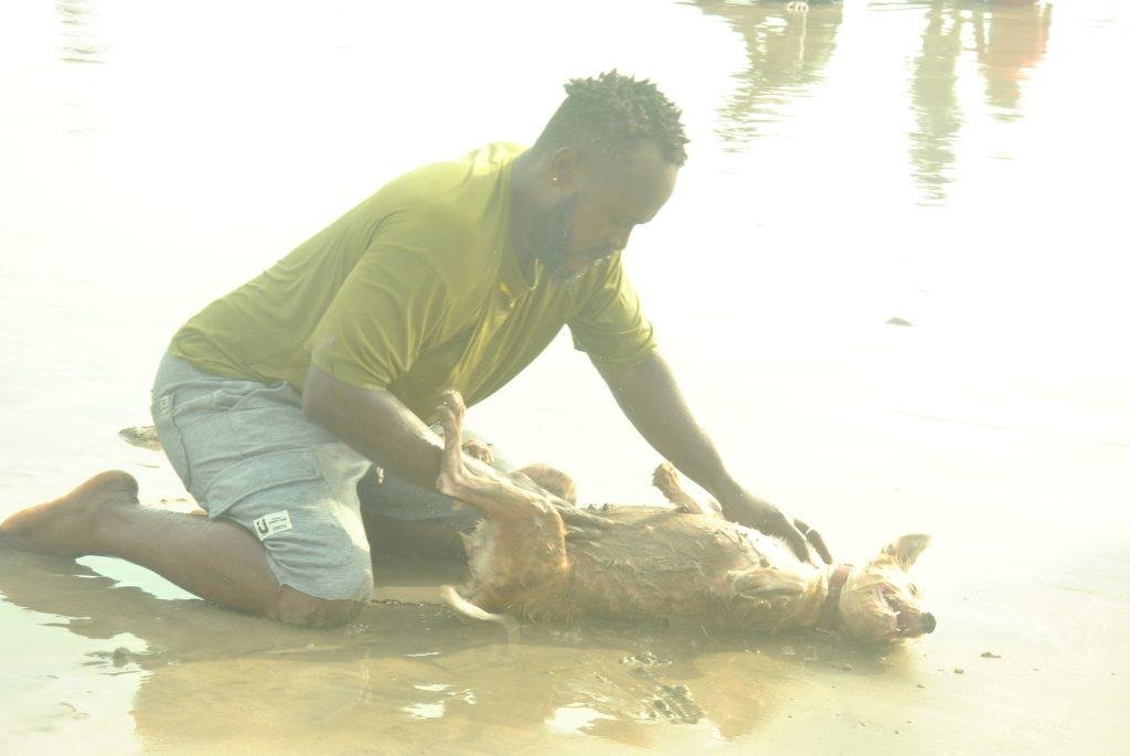 A man baths his dog at the sea shore.