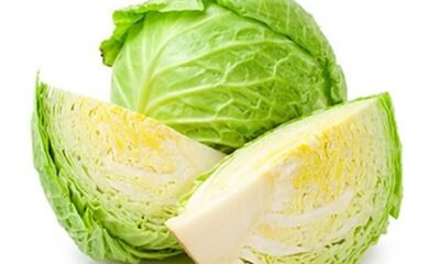 Green-cabbage