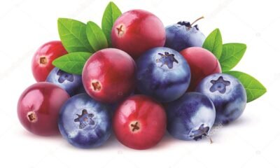 Cranberries, blueberries can prevent UTI