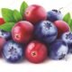 Cranberries, blueberries can prevent UTI