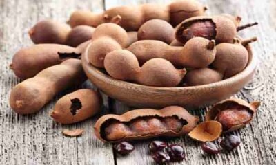 Tamarind seed